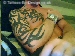 my tribal