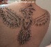 phoenix set in stone