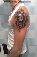 tribal
