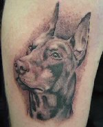 Dobermann