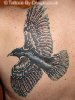 Flying Raven
