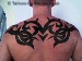 Ibiza Back Piece