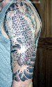 Koi half sleeve