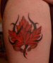 Maple Leaf in thorns with maple keys
