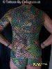 RAINFOREST BACK PIECE