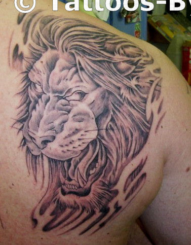 Lions Head