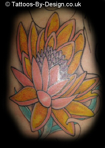 Lotus flower 