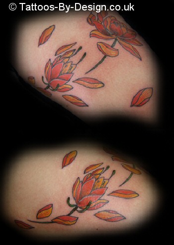 Lotus flowers