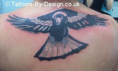 Magpie
