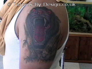 PANTHER