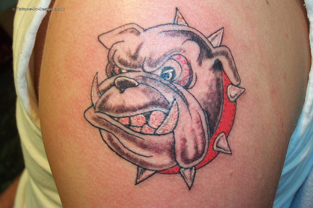 georgia bulldog