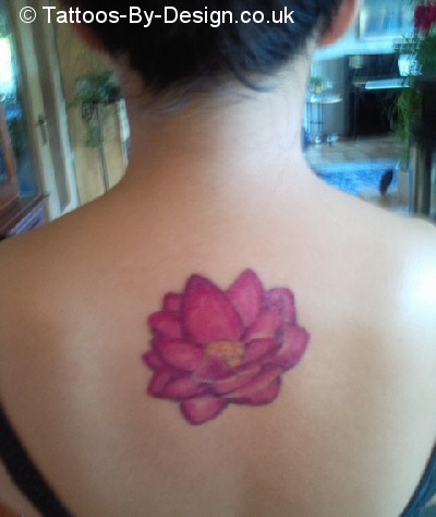 my lotus flower