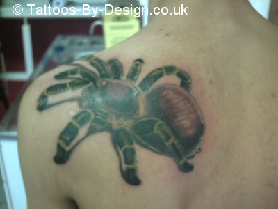 spider tattoo