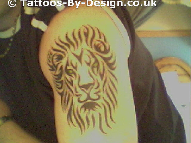 tribal lion