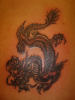 black and grey shadded dragon