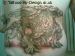 dragon backpiece
