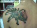 spider tattoo